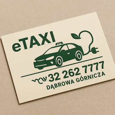 Lagan e-taxi-transfery lotniskowe.